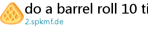 do a barrel roll 10 times